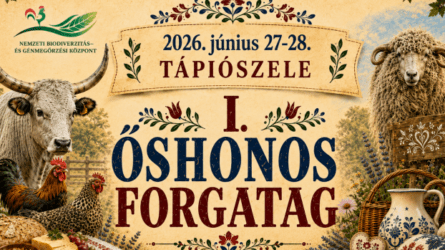 I. Őshonos forgatag