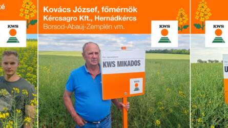 KWS – Élen jár repcében!