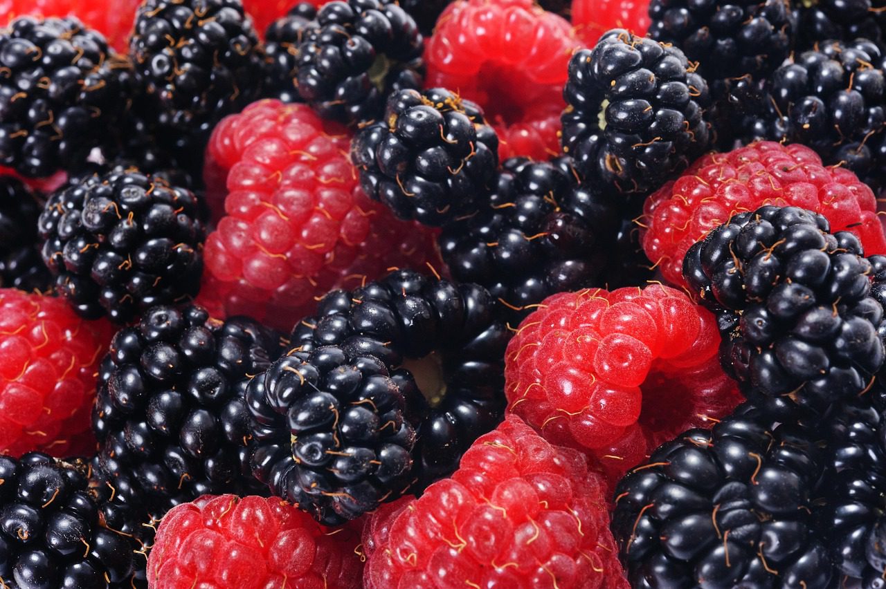 A loganberry és a tayberry is rendelkezik a málna és a szeder előnyös tulajdonságaival és értékes beltartalmi mutatóikkal