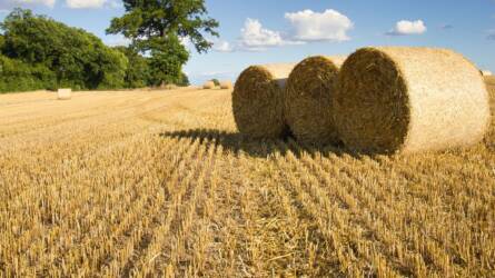 Ukrajna agrárpotenciálja: ennyivel nőhet a kibocsátásuk a háború után