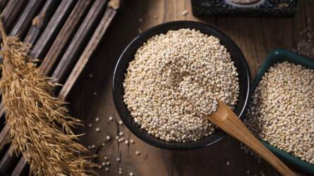 Quinoa a kertben: különleges növény, amely a hazai viszonyok között is termeszthető