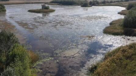 27 ezer éves tavunk tűnik el néhány héten belül a Kiskunságban