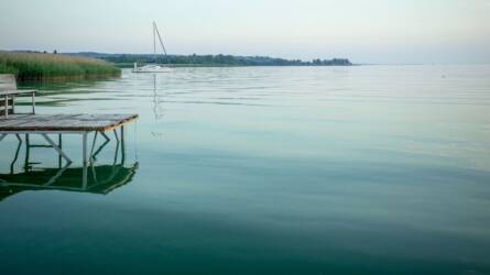20 éve nem került elő ilyen a Balatonból, mindenki döbbenettel fogadta