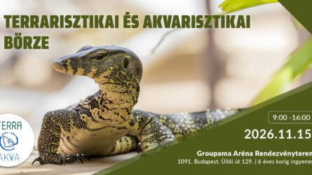 Terra-Akva Börze
