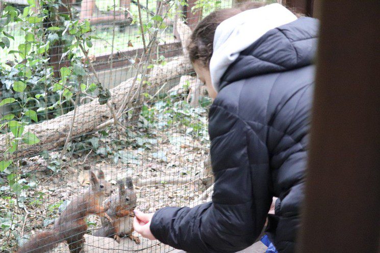 Körös-Maros Nemzeti Park - Körösvölgyi Állatpark