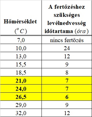 Táblázat